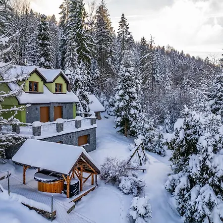 Dom wakacyjny Lesne Zacisze - Jacuzzi, Bacowka, Niesamowite Widoki *