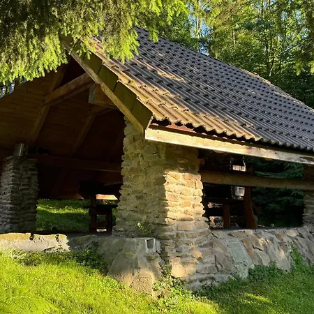 Feriehus Lesne Zacisze - Jacuzzi, Bacowka, Niesamowite Widoki Wisła