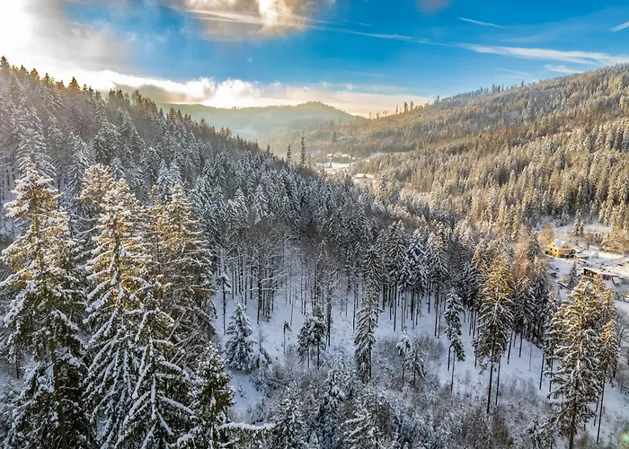 Lesne Zacisze - Jacuzzi, Bacowka, Niesamowite Widoki Σπίτι διακοπών *