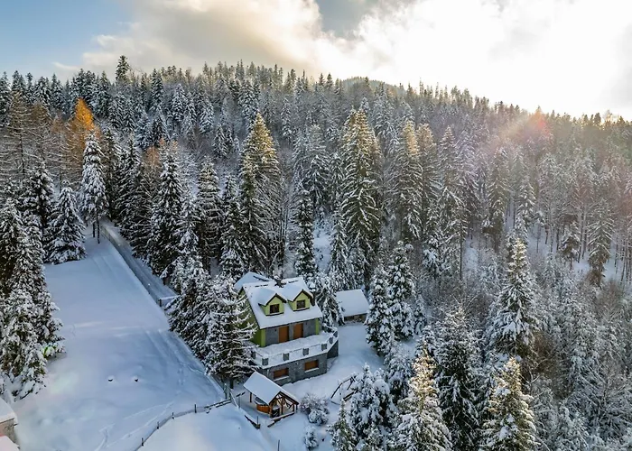 Feriehus Lesne Zacisze - Jacuzzi, Bacowka, Niesamowite Widoki *
