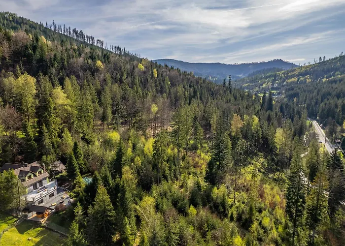 Feriehus Lesne Zacisze - Jacuzzi, Bacowka, Niesamowite Widoki *